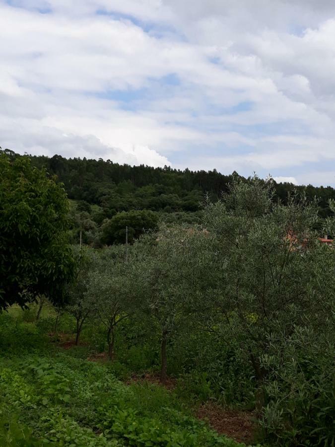 Quinta Dos Templarios Bed & Breakfast Ferreira do Zêzere Екстериор снимка