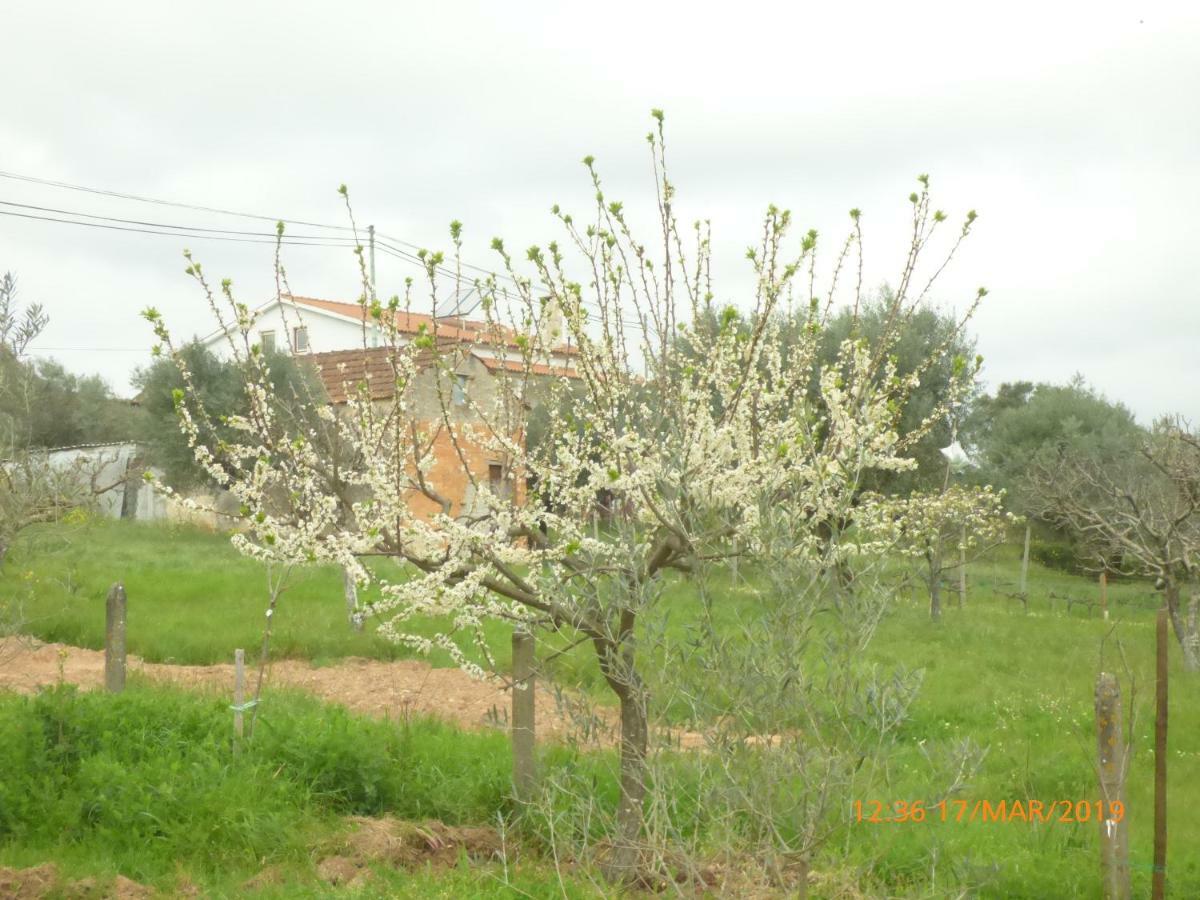 Quinta Dos Templarios Bed & Breakfast Ferreira do Zêzere Екстериор снимка